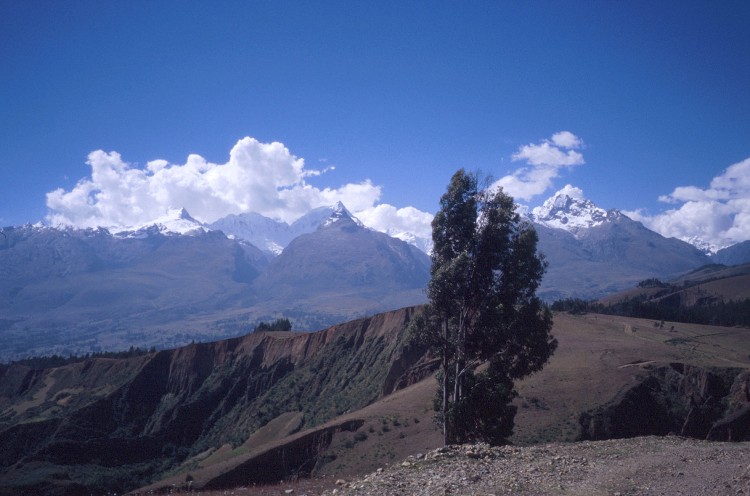 Peru 2000 (Bobr)