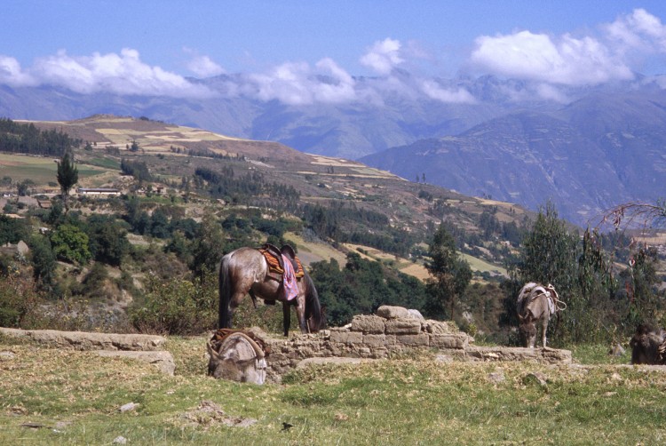 Peru 2000 (Bobr)