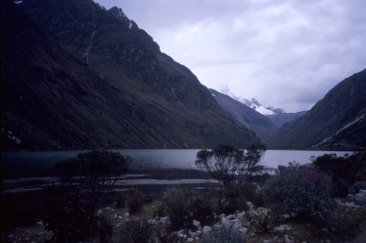 Peru 2000 (Bobr)