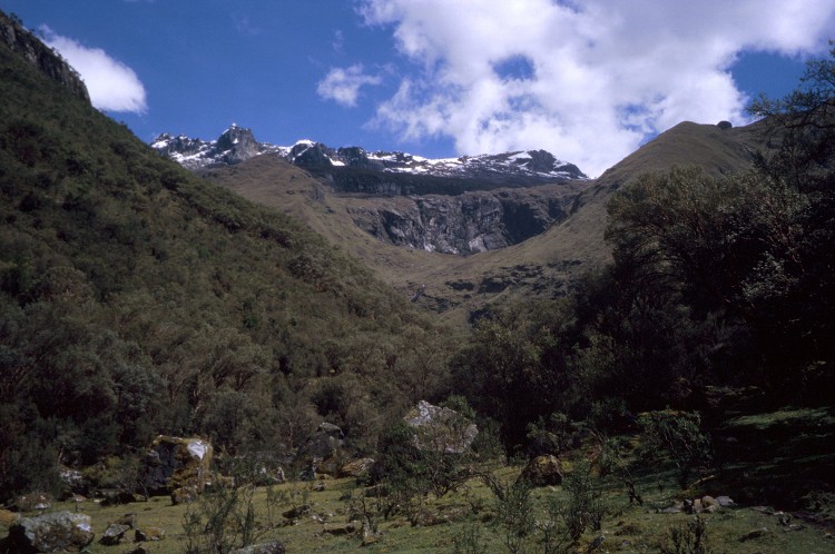 Peru 2000 (Bobr)