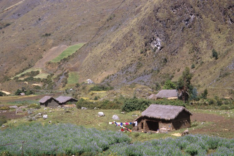 Peru 2000 (Bobr)