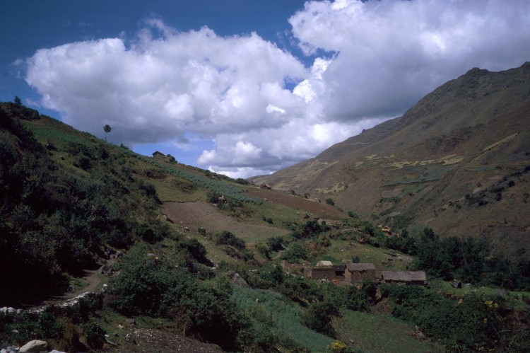 Peru 2000 (Bobr)