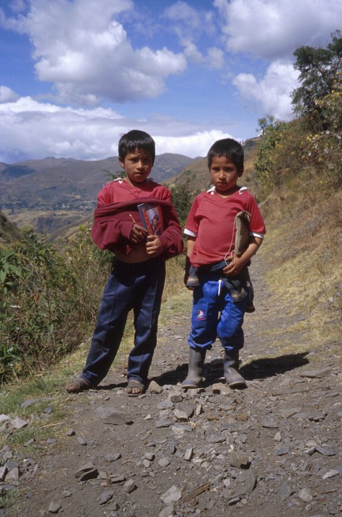 Peru 2000 (Bobr)