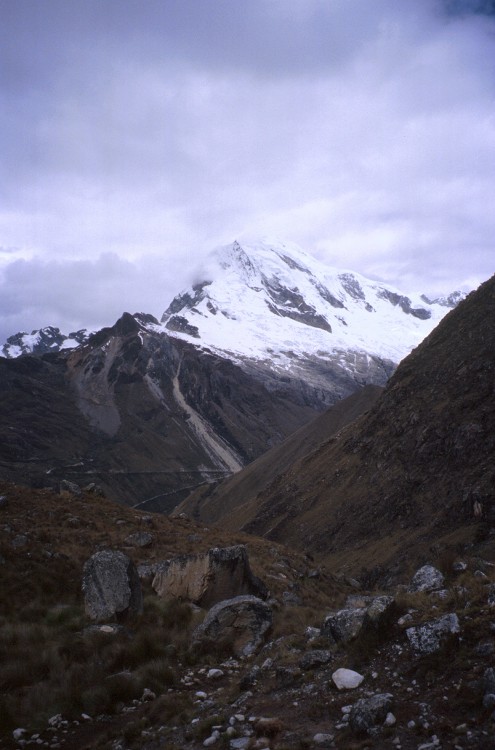 Peru 2000 (Bobr)