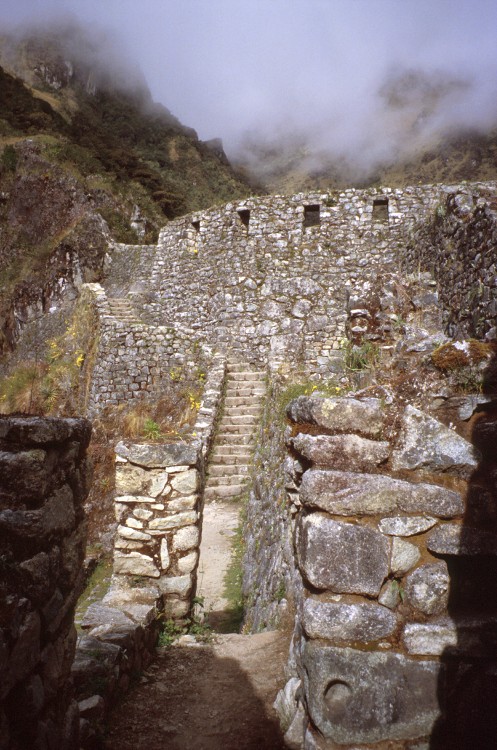 Peru 2000 (Bobr)