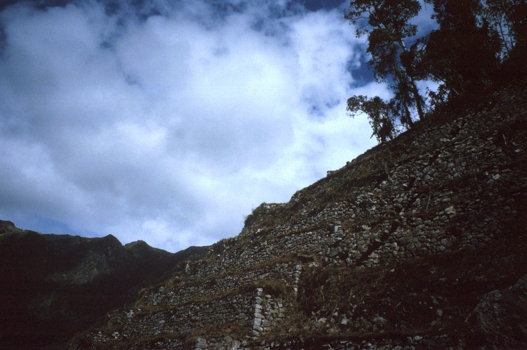Peru 2000 (Bobr)