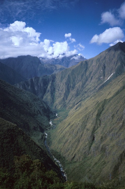 Peru 2000 (Bobr)