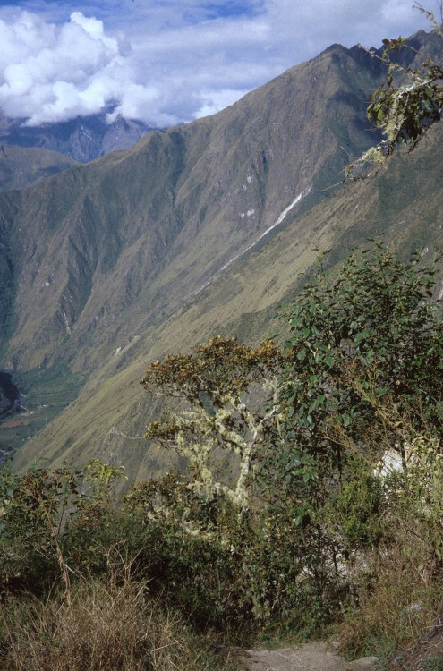 Peru 2000 (Bobr)