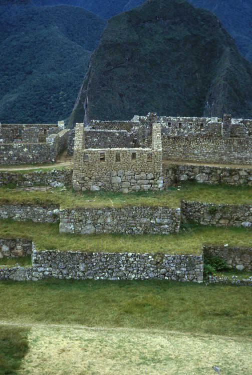 Peru 2000 (Bobr)