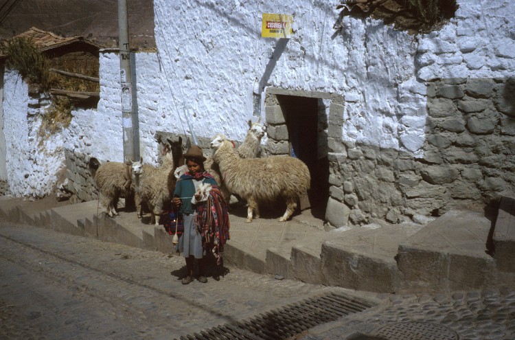 Peru 2000 (Bobr)