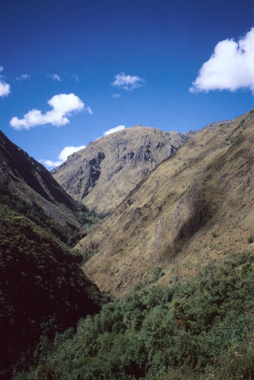 Peru 2000 (Bobr)