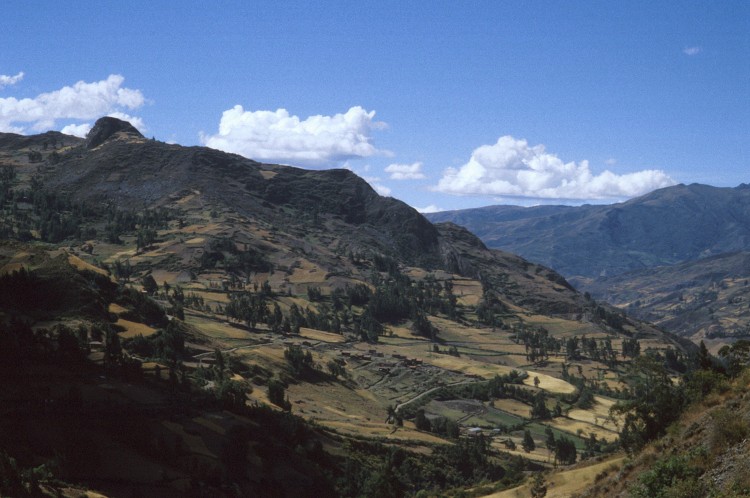 Peru 2000 (Bobr)