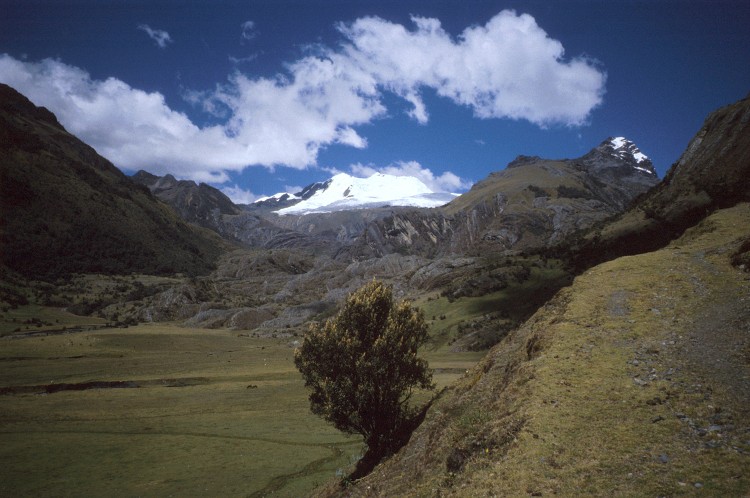 Peru 2000 (Bobr)