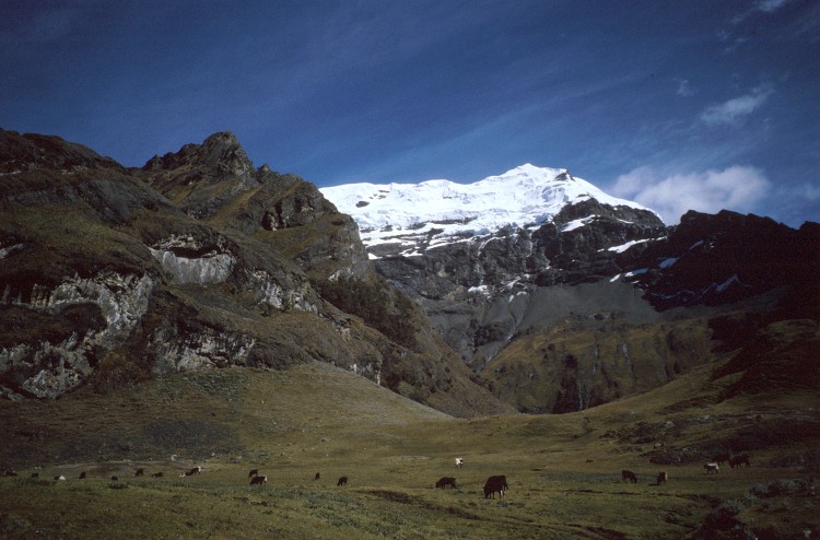 Peru 2000 (Bobr)