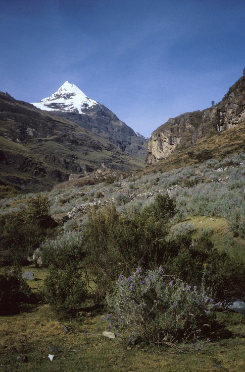 Peru 2000 (Bobr)