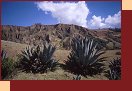  4101-09_Peru2000 