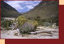  4101-17_Peru2000 