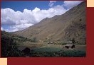  4102-24_Peru2000 