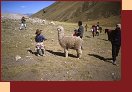  4104-20_Peru2000 