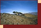  4111-07_Peru2000 