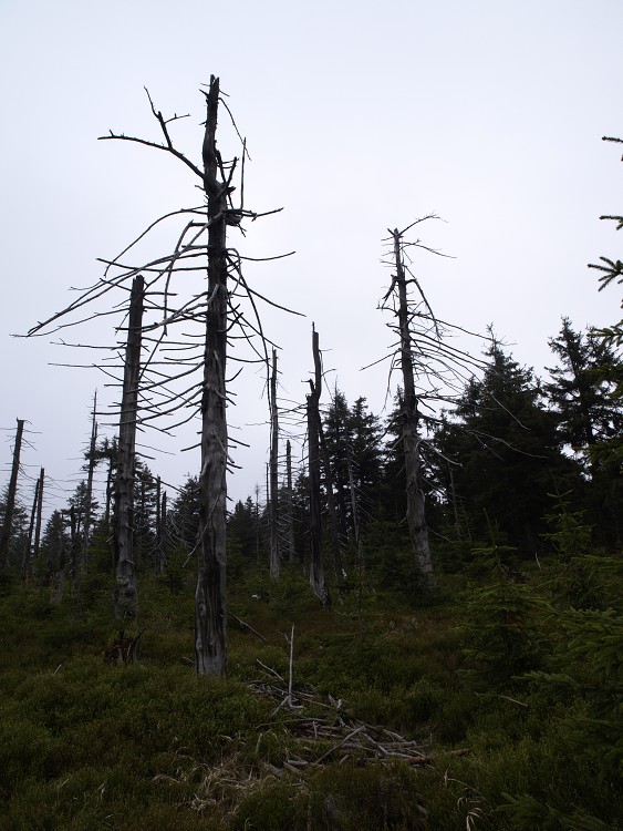 Sněžné Věžičky 2012