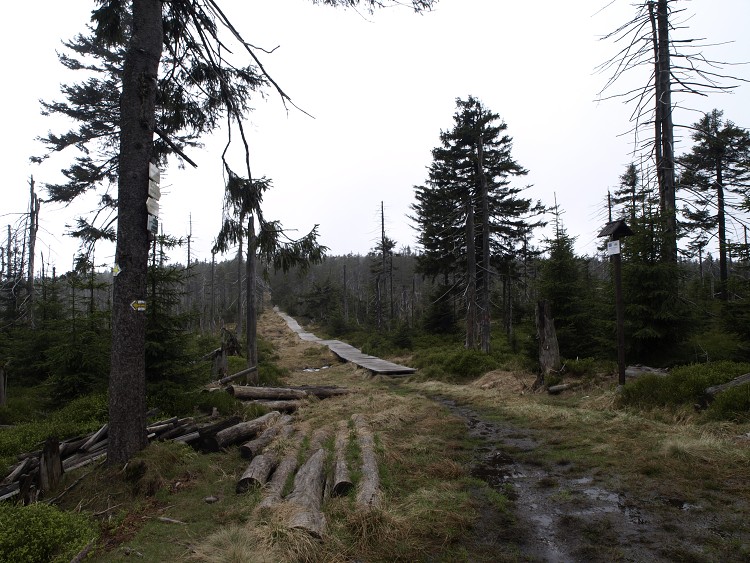 Sněžné Věžičky 2012