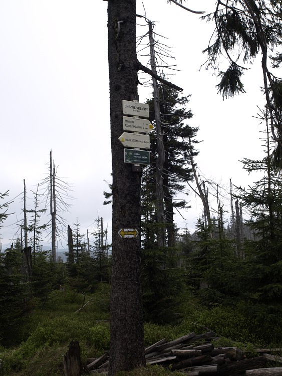 Sněžné Věžičky 2012