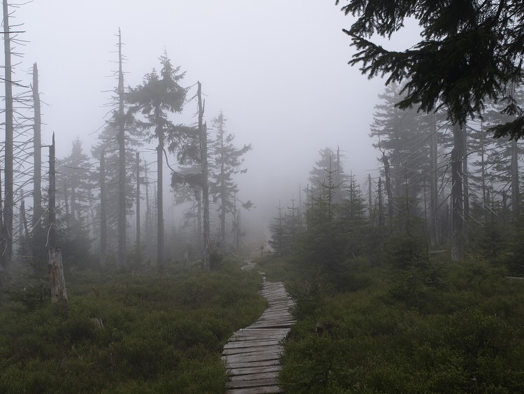 Sněžné Věžičky 2012