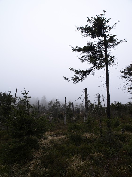 Sněžné Věžičky 2012