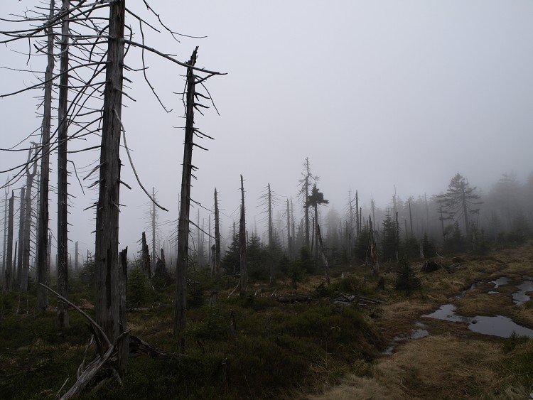 Sněžné Věžičky 2012