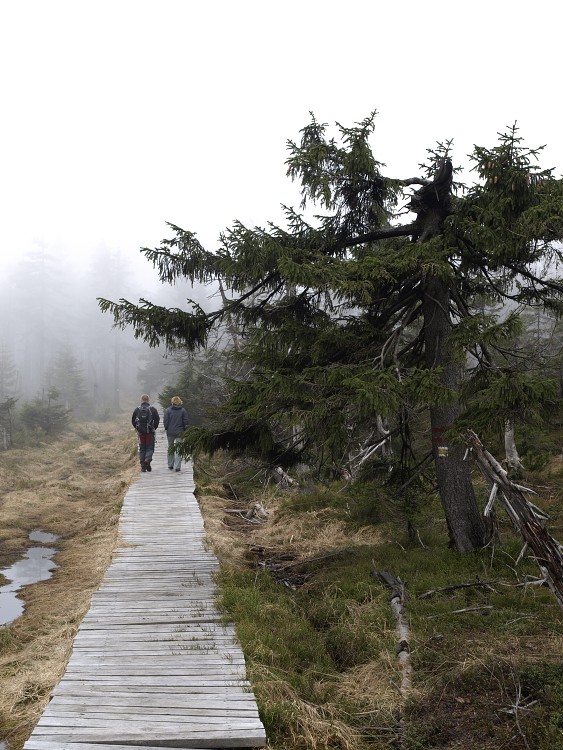 Sněžné Věžičky 2012