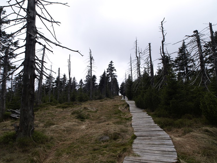 Sněžné Věžičky 2012