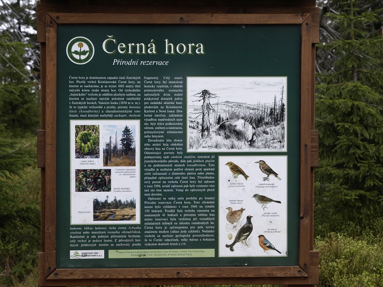 Sněžné Věžičky 2012