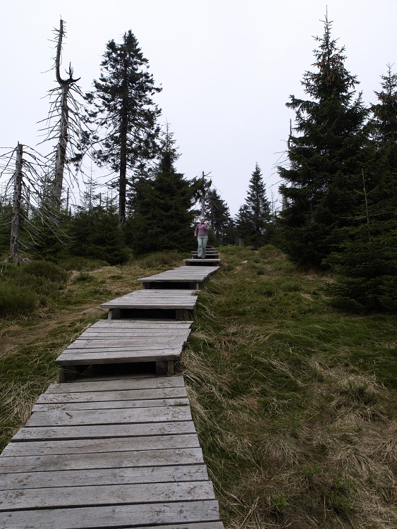 Sněžné Věžičky 2012