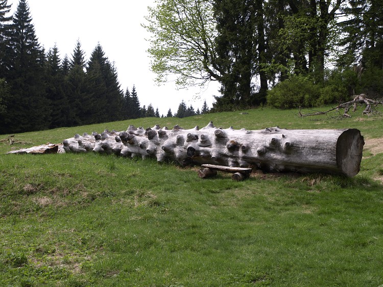 Sněžné Věžičky 2012