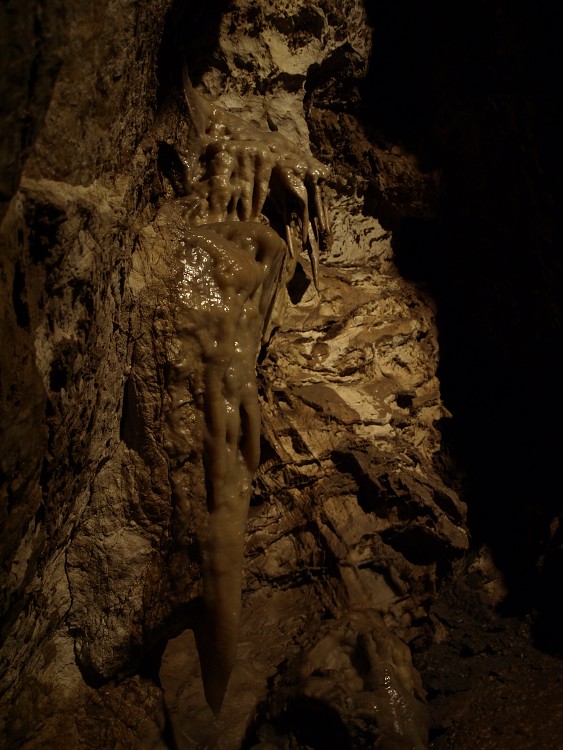 Bozkovske jeskyne 2013