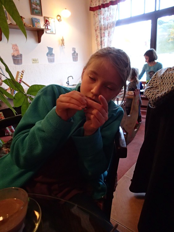 Vanoce a Silvestr 2013