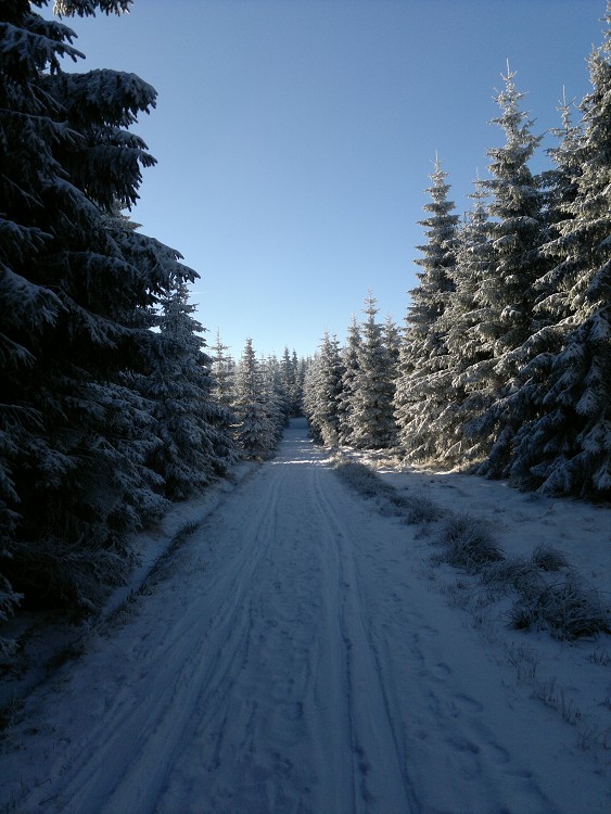Běžky Jizerky 2014