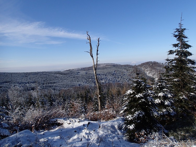 Běžky Jizerky 2014